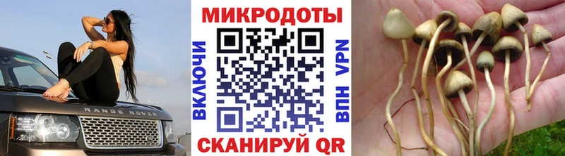 купить наркотик Урень Галлюциногенные грибы MAGIC MUSHROOMS